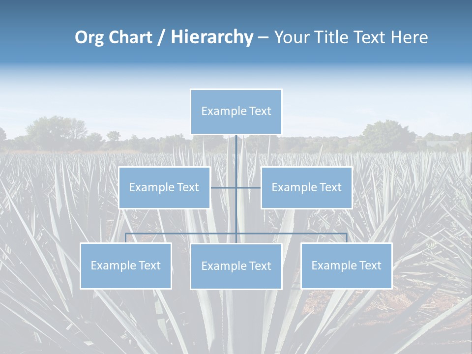 Sky Agriculture Landscape PowerPoint Template