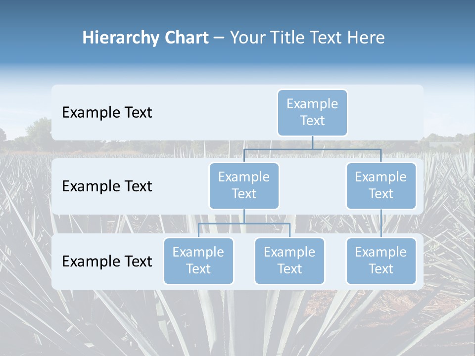Sky Agriculture Landscape PowerPoint Template
