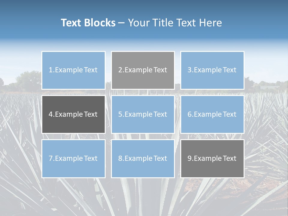 Sky Agriculture Landscape PowerPoint Template