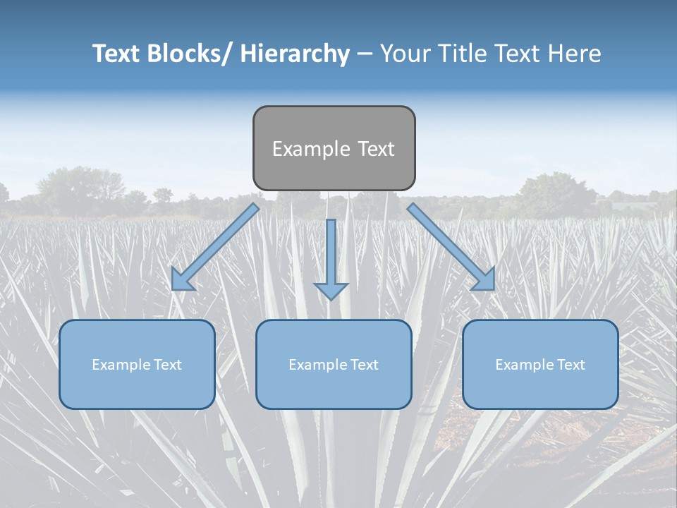 Sky Agriculture Landscape PowerPoint Template