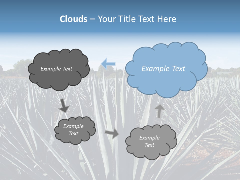 Sky Agriculture Landscape PowerPoint Template