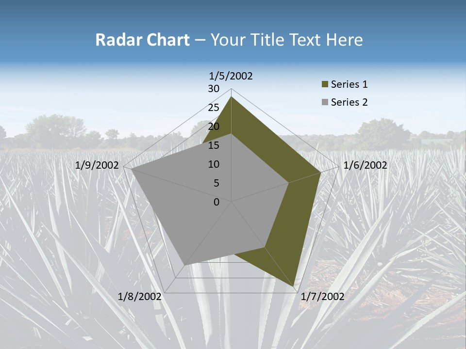 Sky Agriculture Landscape PowerPoint Template