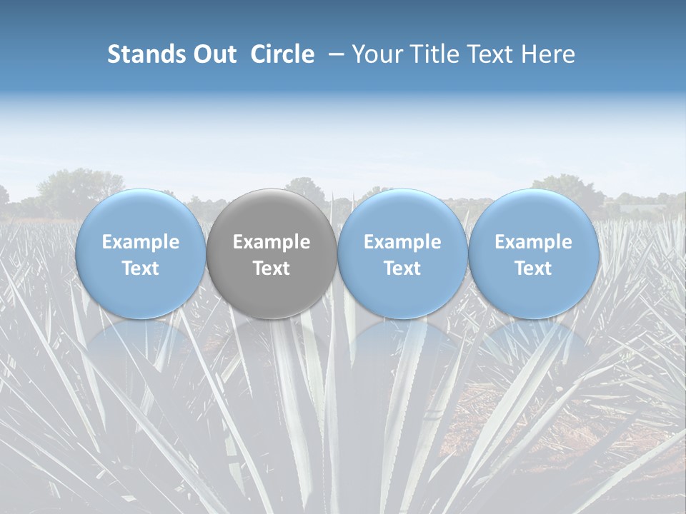 Sky Agriculture Landscape PowerPoint Template