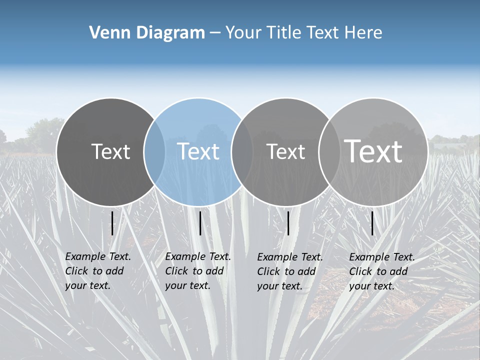 Sky Agriculture Landscape PowerPoint Template