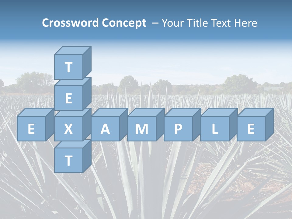 Sky Agriculture Landscape PowerPoint Template