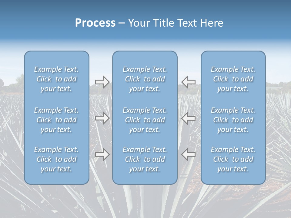 Sky Agriculture Landscape PowerPoint Template