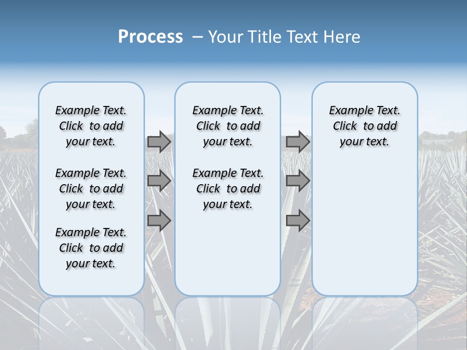 Sky Agriculture Landscape PowerPoint Template
