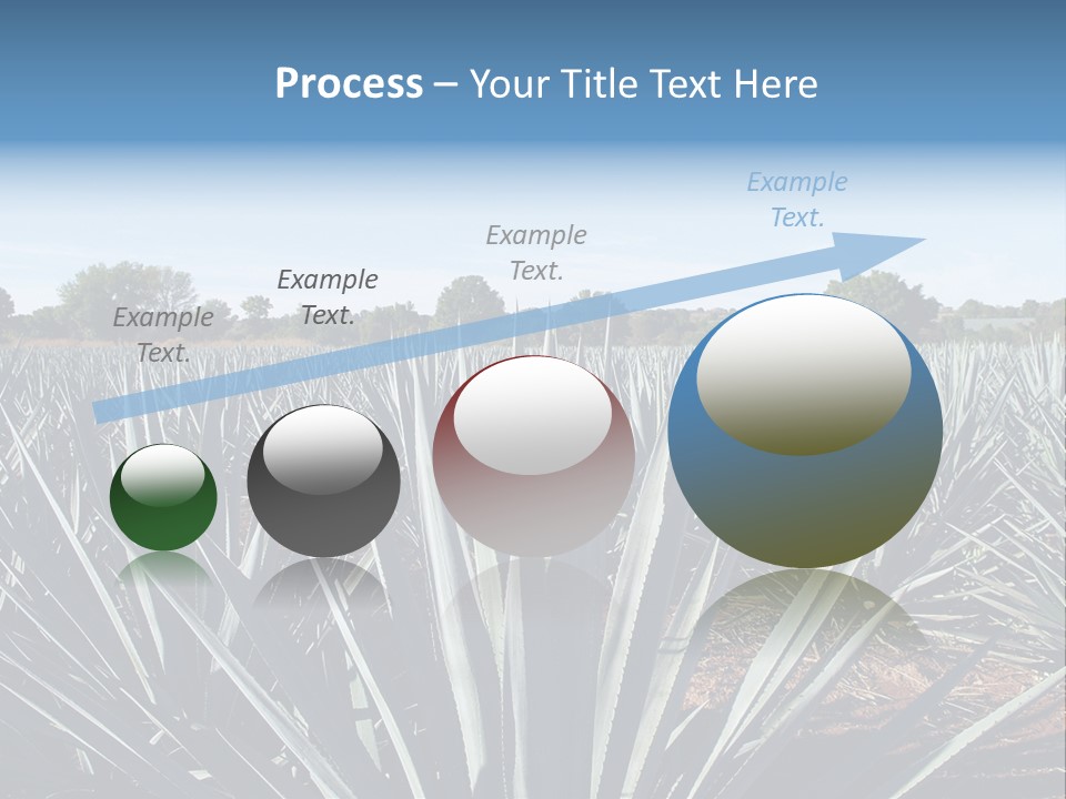 Sky Agriculture Landscape PowerPoint Template