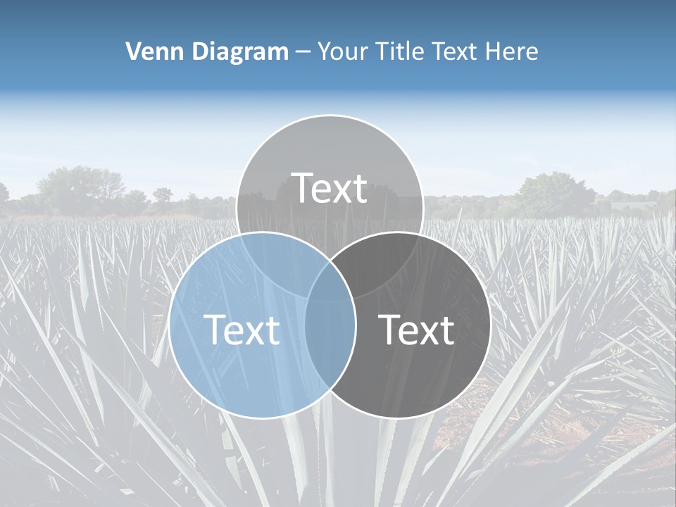 Sky Agriculture Landscape PowerPoint Template