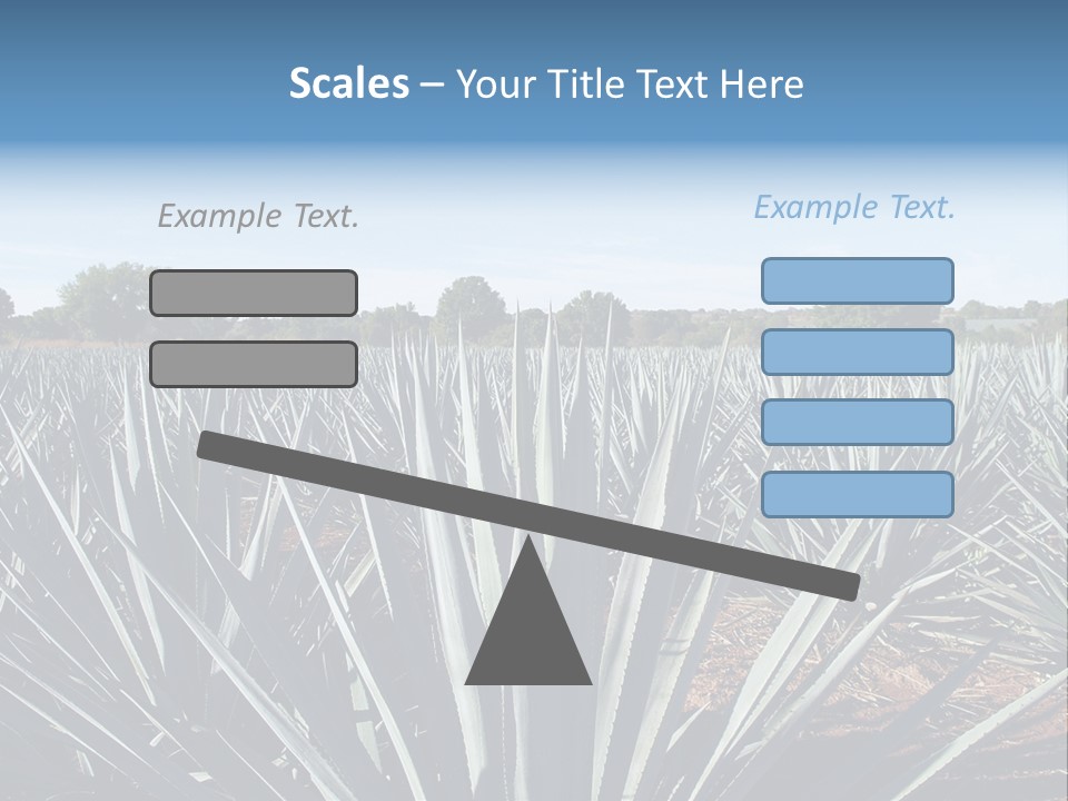 Sky Agriculture Landscape PowerPoint Template