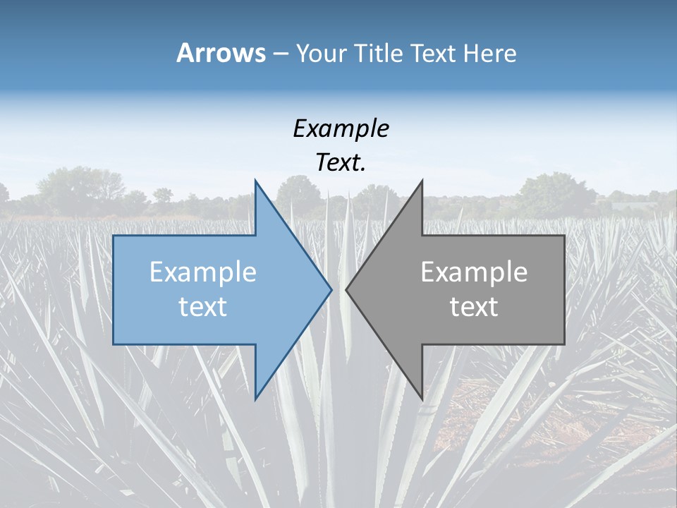 Sky Agriculture Landscape PowerPoint Template