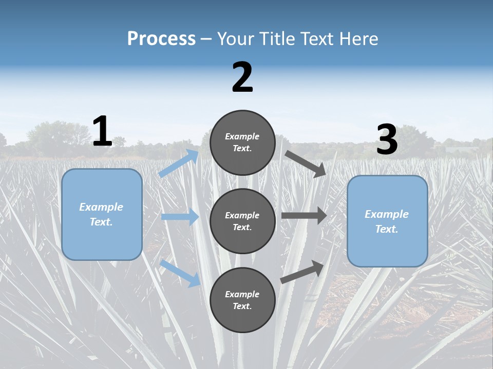 Sky Agriculture Landscape PowerPoint Template
