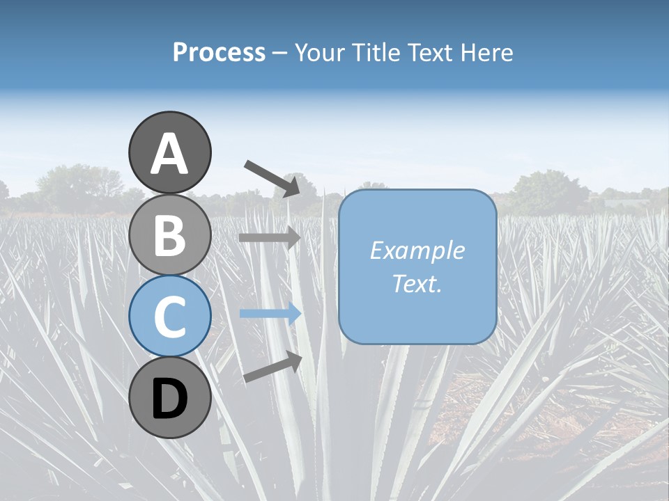 Sky Agriculture Landscape PowerPoint Template
