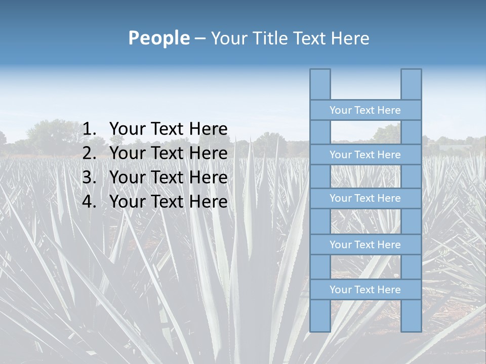 Sky Agriculture Landscape PowerPoint Template