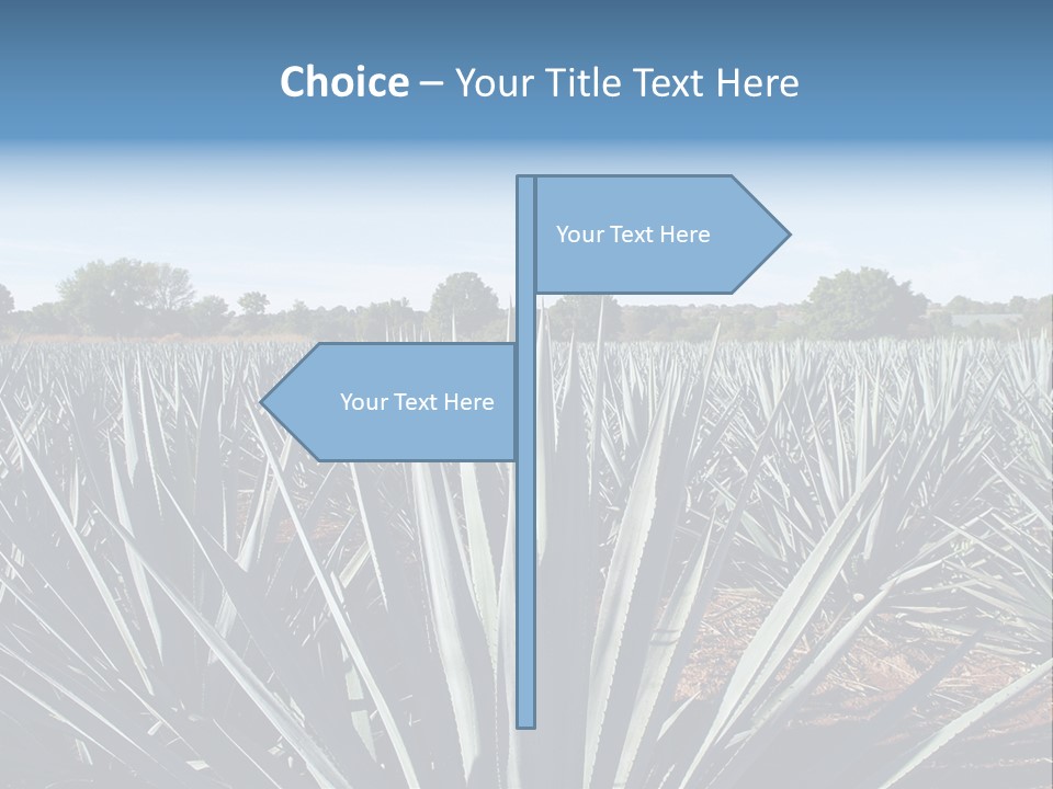 Sky Agriculture Landscape PowerPoint Template