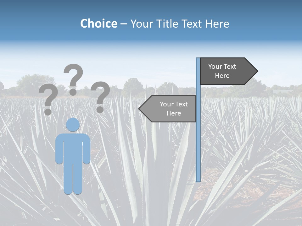Sky Agriculture Landscape PowerPoint Template