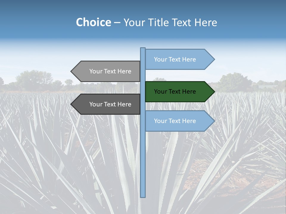 Sky Agriculture Landscape PowerPoint Template