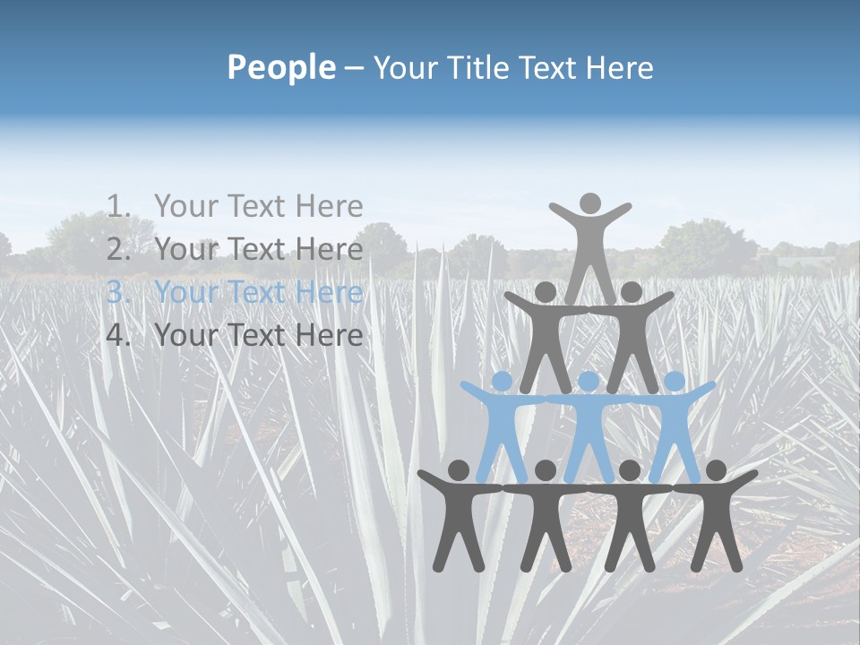 Sky Agriculture Landscape PowerPoint Template