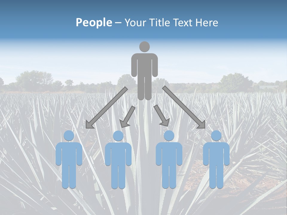 Sky Agriculture Landscape PowerPoint Template