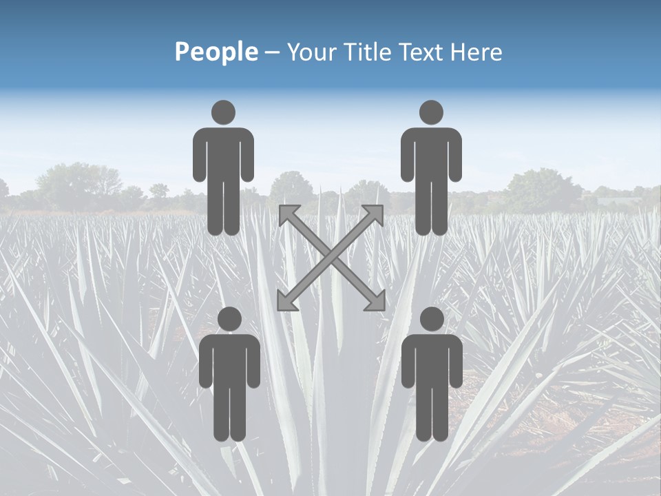 Sky Agriculture Landscape PowerPoint Template