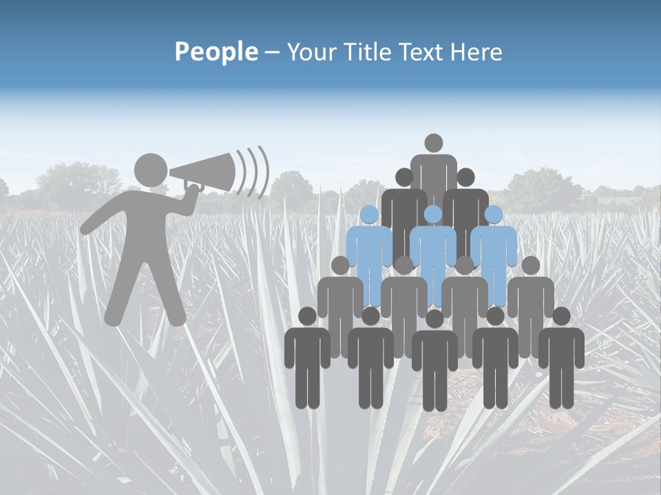 Sky Agriculture Landscape PowerPoint Template