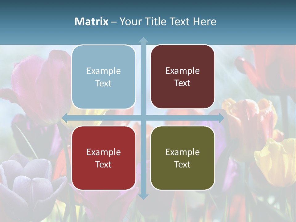 Green Tulip Postcard PowerPoint Template