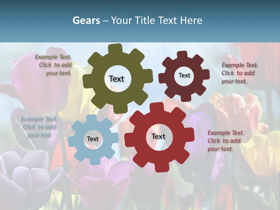 Green Tulip Postcard PowerPoint Template