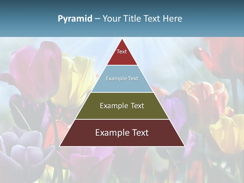 Green Tulip Postcard PowerPoint Template