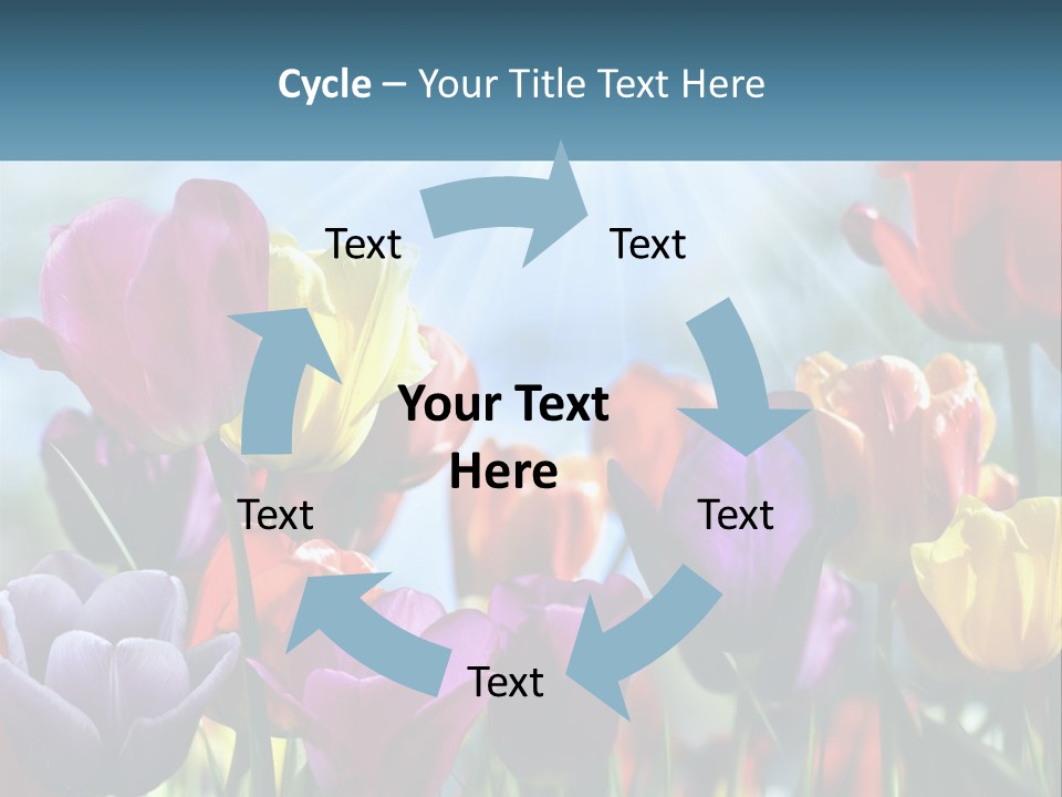 Green Tulip Postcard PowerPoint Template