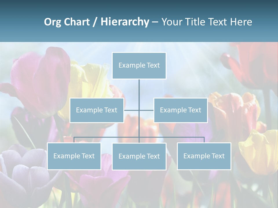 Green Tulip Postcard PowerPoint Template