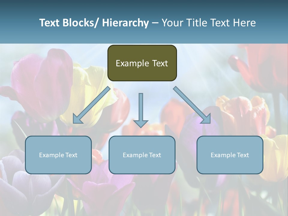 Green Tulip Postcard PowerPoint Template