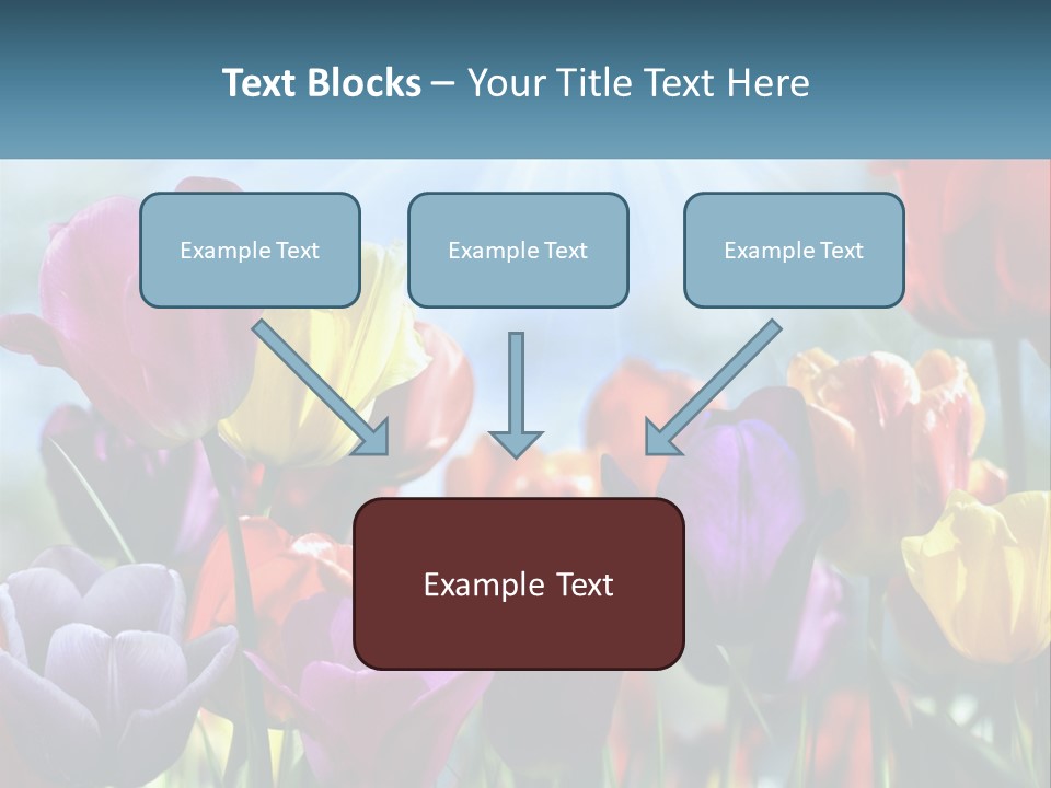 Green Tulip Postcard PowerPoint Template