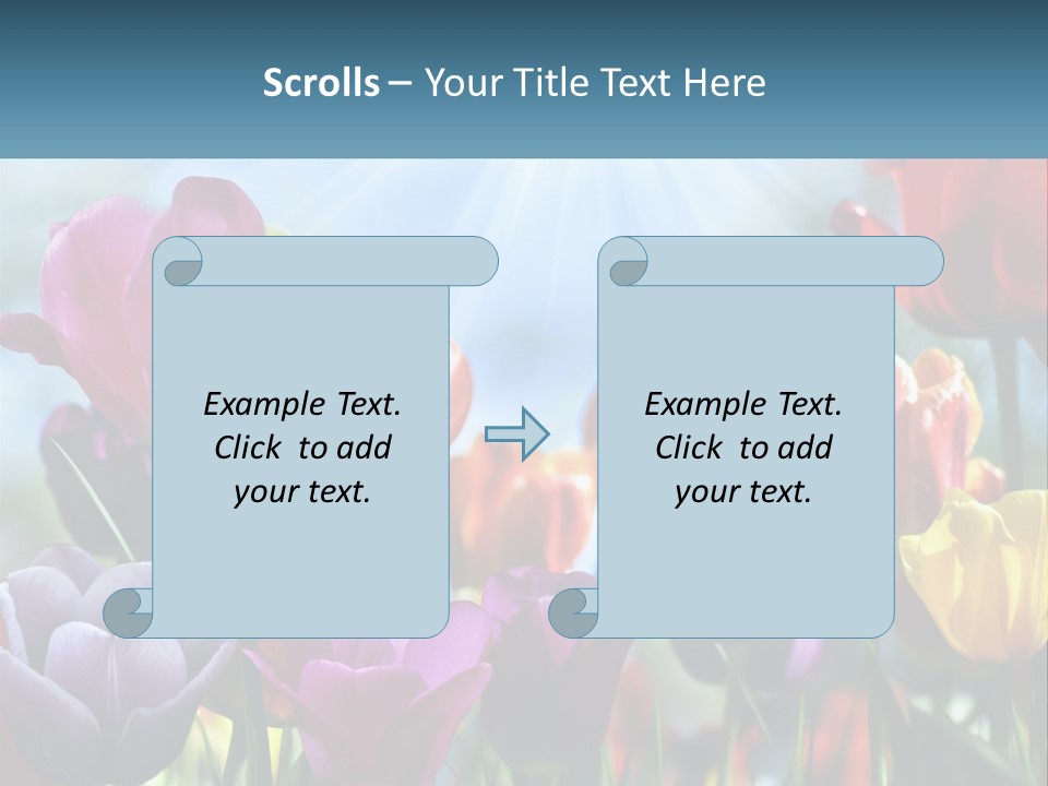 Green Tulip Postcard PowerPoint Template