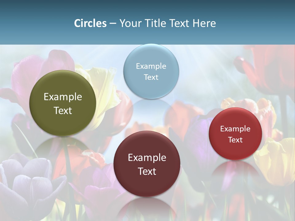 Green Tulip Postcard PowerPoint Template