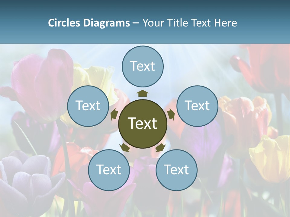 Green Tulip Postcard PowerPoint Template