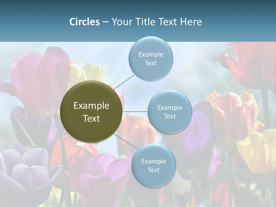 Green Tulip Postcard PowerPoint Template