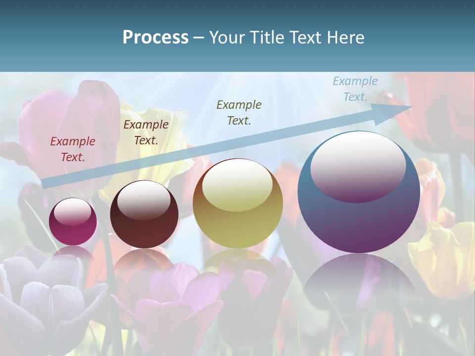 Green Tulip Postcard PowerPoint Template