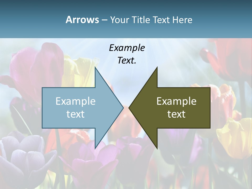 Green Tulip Postcard PowerPoint Template