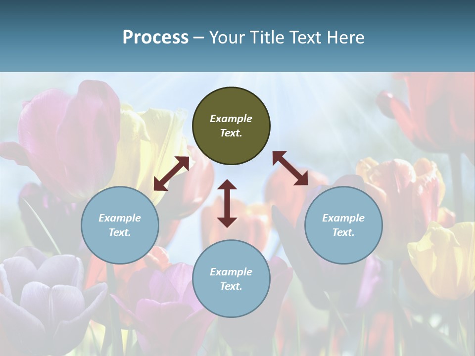 Green Tulip Postcard PowerPoint Template