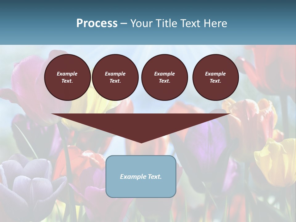 Green Tulip Postcard PowerPoint Template
