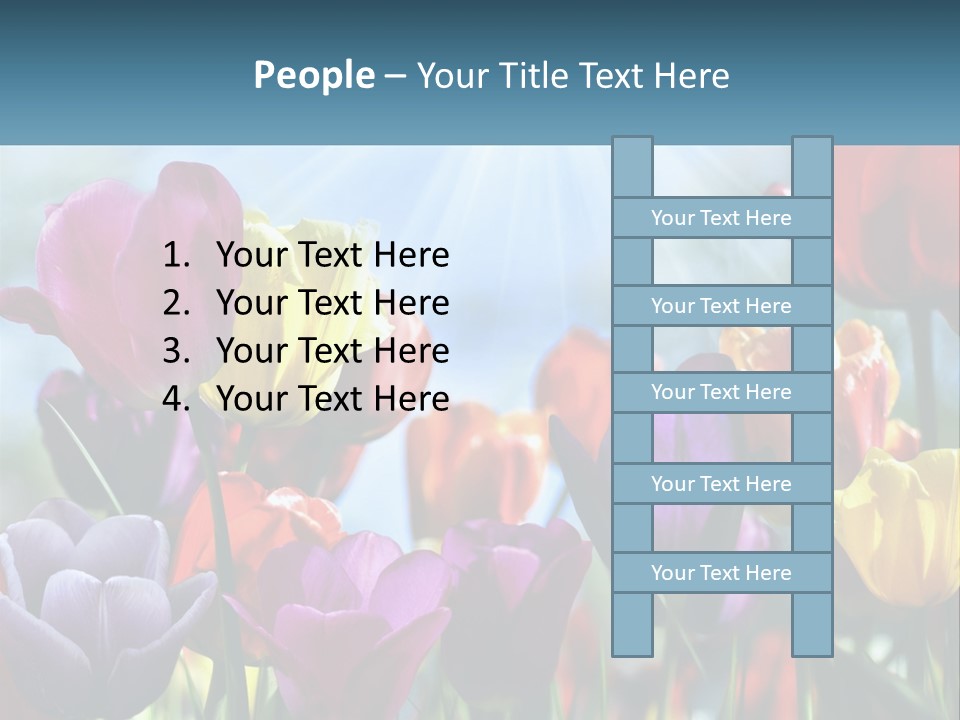 Green Tulip Postcard PowerPoint Template
