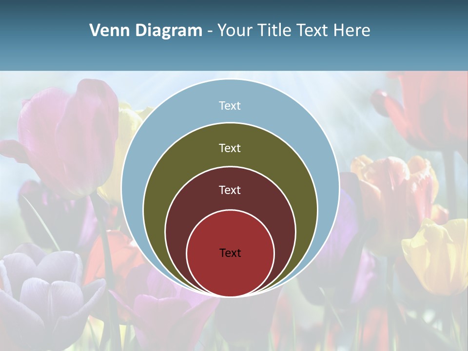 Green Tulip Postcard PowerPoint Template