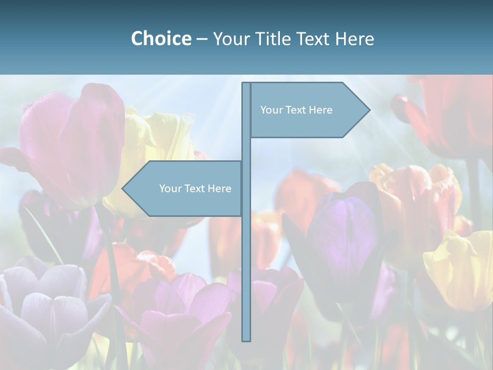 Green Tulip Postcard PowerPoint Template