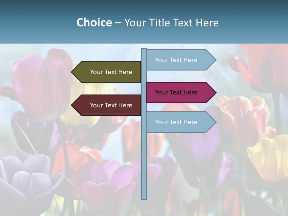 Green Tulip Postcard PowerPoint Template