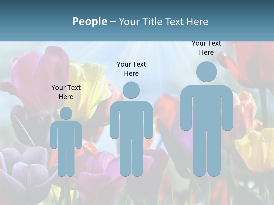 Green Tulip Postcard PowerPoint Template