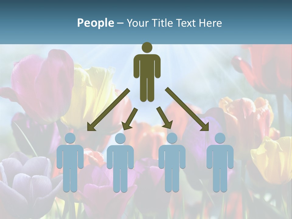 Green Tulip Postcard PowerPoint Template