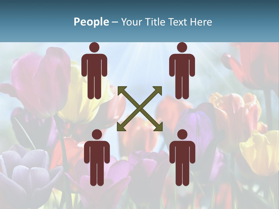 Green Tulip Postcard PowerPoint Template