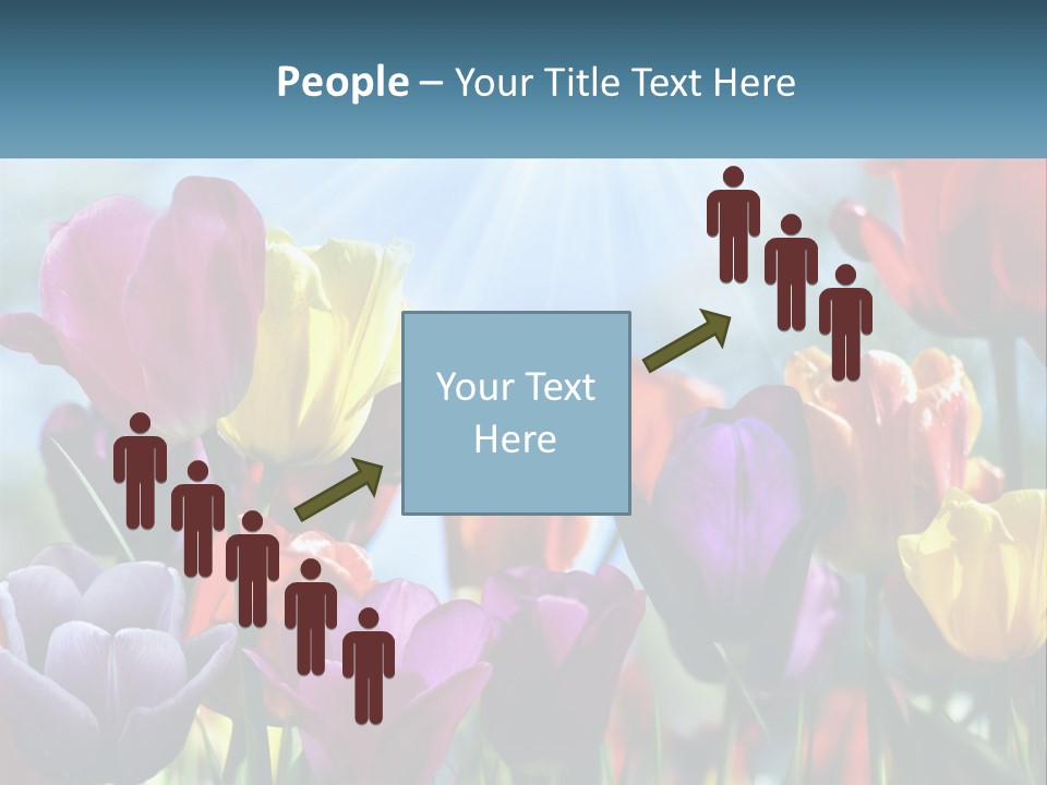 Green Tulip Postcard PowerPoint Template