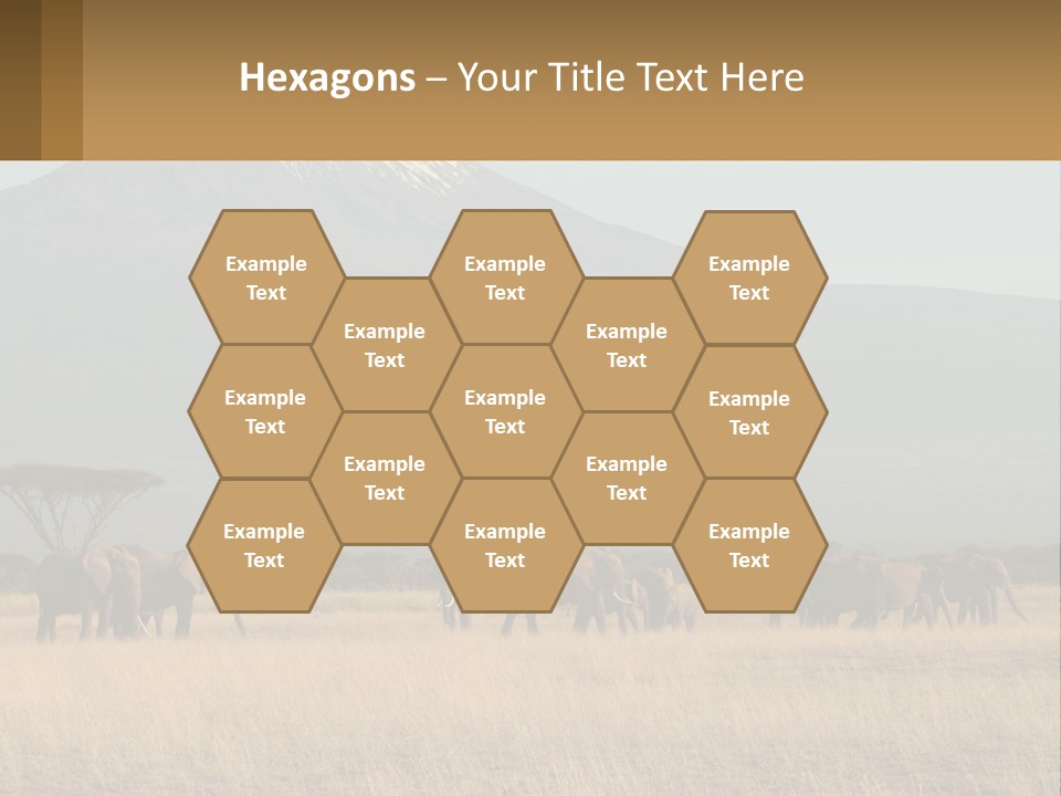 Color Herbivore Matriarch PowerPoint Template