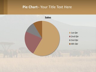 Color Herbivore Matriarch PowerPoint Template